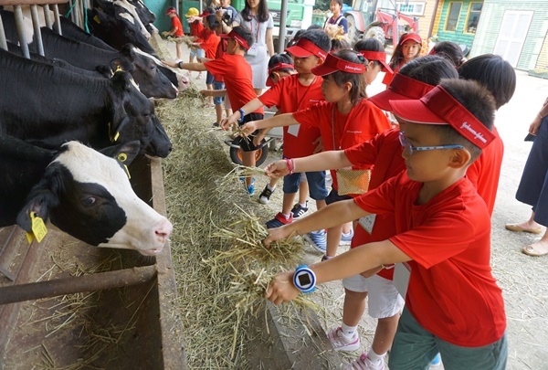 한국얀센 임직원 자녀들이 자녀 초청 행사인 ‘Childcare CAMP’의 프로그램으로 목장체험을 진행하고 있다.