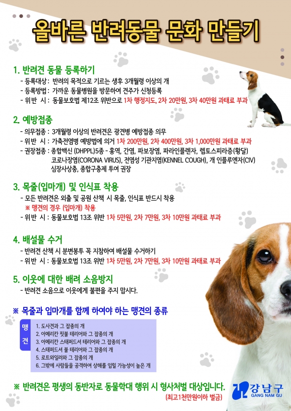 강남구 올바른 반려동물 문화만들기 포스터.