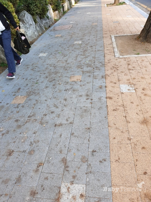 길에 떨어진 은행 열매를 밟지 않기 위해 한 켠으로 피해서 걷는 시민.