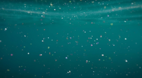 바닷속을 떠다니는 미세 플라스틱 알갱이들 (사진=셔터스톡 제공)