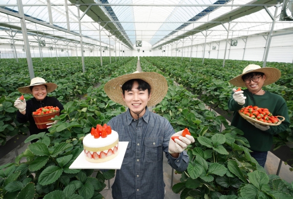 충청남도 논산시에 위치한 비타베리 재배 농가에서 청년농부들이 비타베리와 비타베리를 활용한 파리바게뜨 케이크를 들고있다. (사진=SPC그룹 제공)