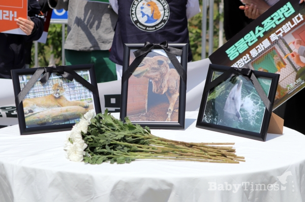 활동가들은 대구 동물원에서 희생된 동물들의 사진 앞에 헌화했다. (사진=황예찬 기자)