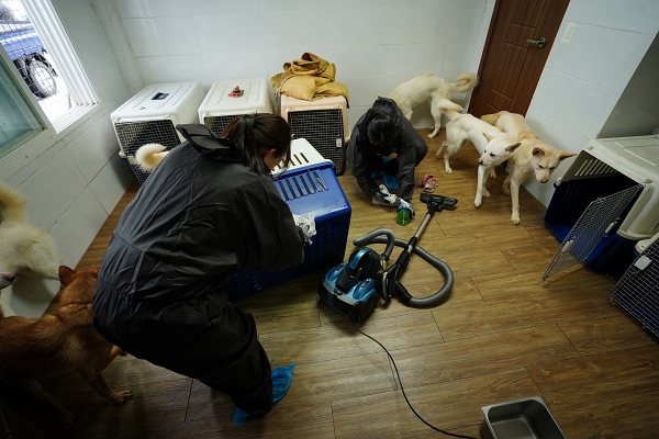 강아지숲 임직원들이 16일 유기견 보호소인 티구니하우스를 방문해 견사 및 켄넬 청소를 하고 있는 모습. (사진=강아지숲 제공)