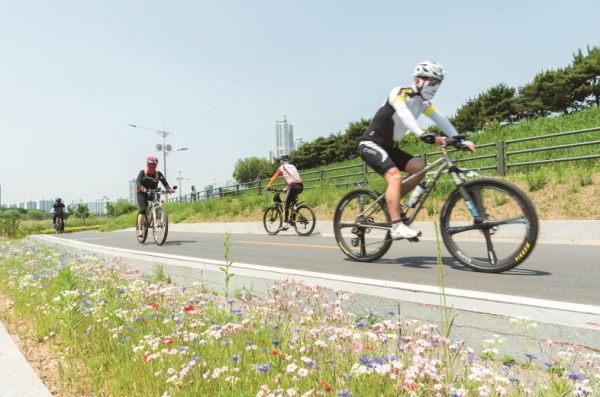 양천구 안양천 제방 자전거 도로를 달리는 주민들 (사진=양천구청 제공)