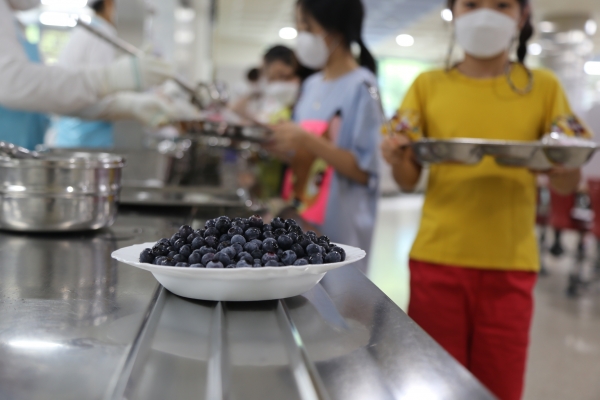 용인 언동초등학교 선생님들이 학생들을 위해 직접 재배해 급식으로 제공한 블루베리.