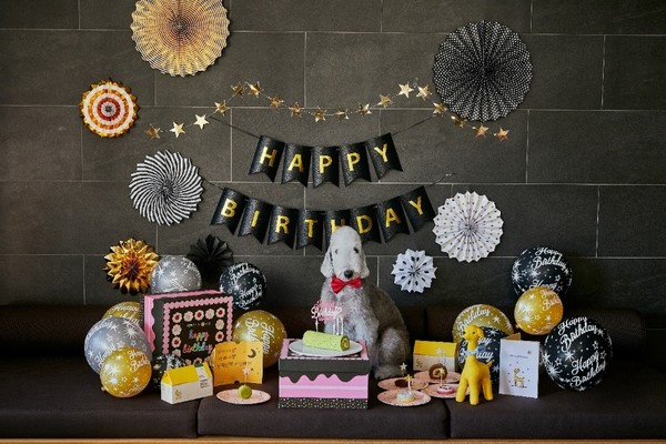 달미펫X소노펫 프리미엄 반려동물 생일파티박스로 풍성한 생일파티를 연출할 수 있다.(사진=달미펫 제공)