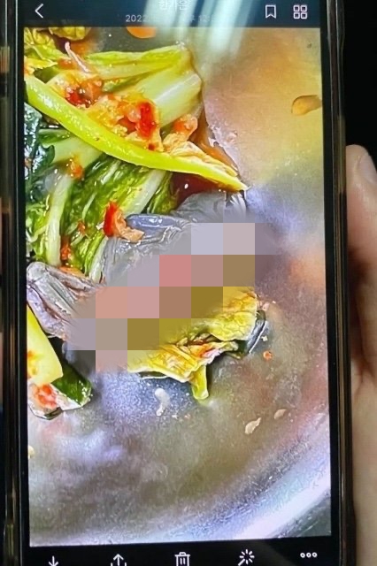 지난 30일 서울 강서구 소재 한 고등학교의 점심 급식 반찬에서 몸이 잘린 채 죽어있는 개구리가 발견됐다. (사진=트위터)